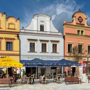Hotel U Zlatého Lva, Havlickuv Brod